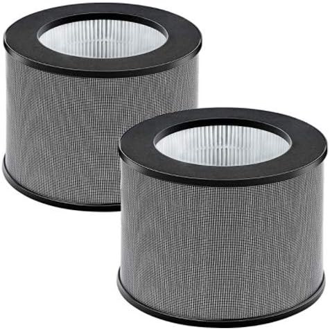 Pair of Exhalaron H10 6.5" Filters